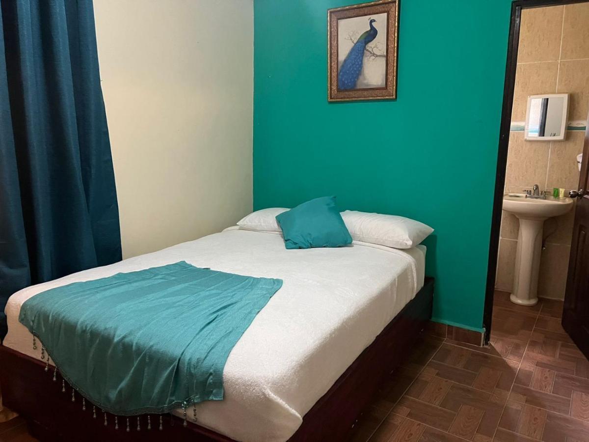 Hotel Ecologico Bluerock David Εξωτερικό φωτογραφία