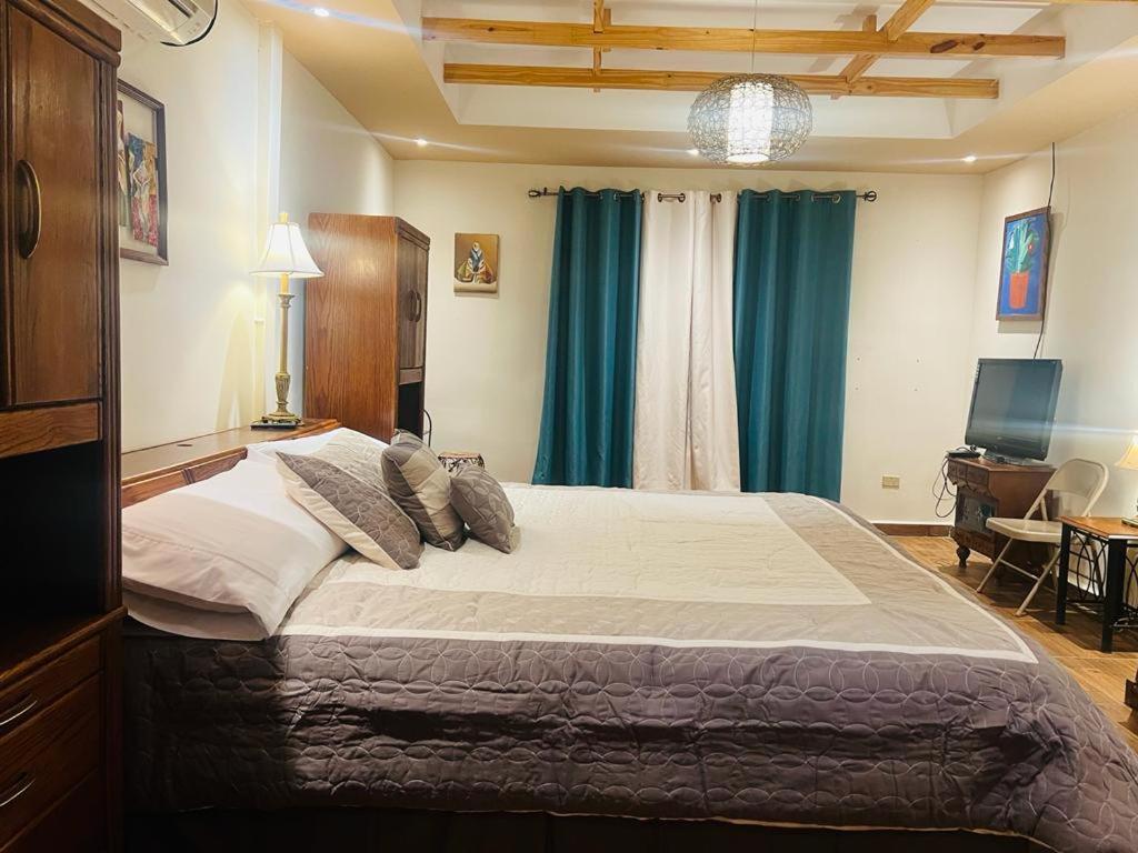 Hotel Ecologico Bluerock David Εξωτερικό φωτογραφία