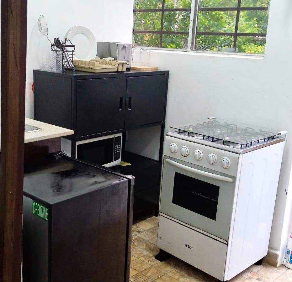 Hotel Ecologico Bluerock David Εξωτερικό φωτογραφία